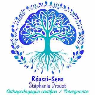 Logo d’un arbre cerveau qui représente la croissance, le développement et l'épanouissement des apprenants. Les racines de l'arbre symbolisent les bases solides de l'apprentissage, les branches représentent la diversité des connaissances acquises.